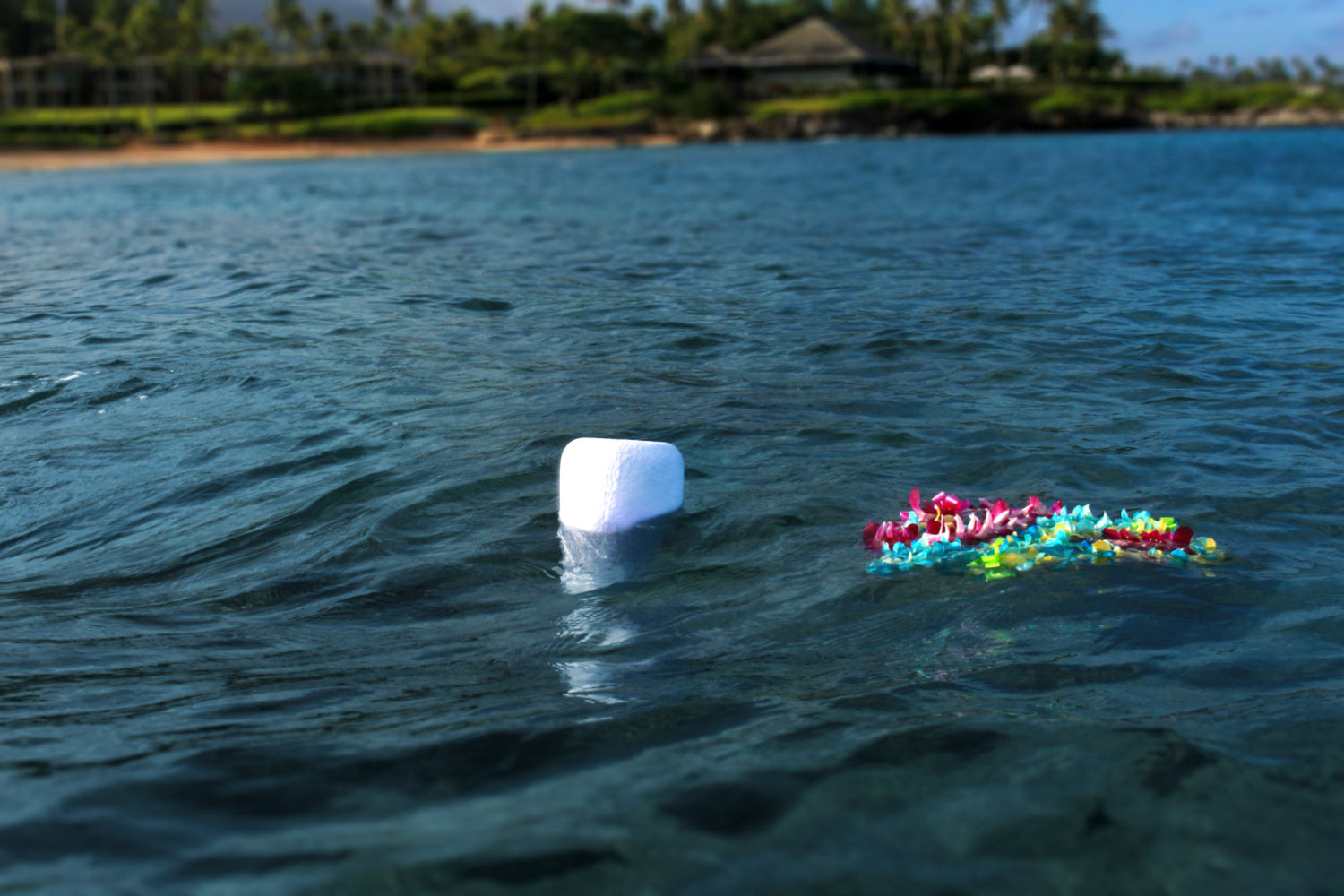 The Symbolism of Water Burials