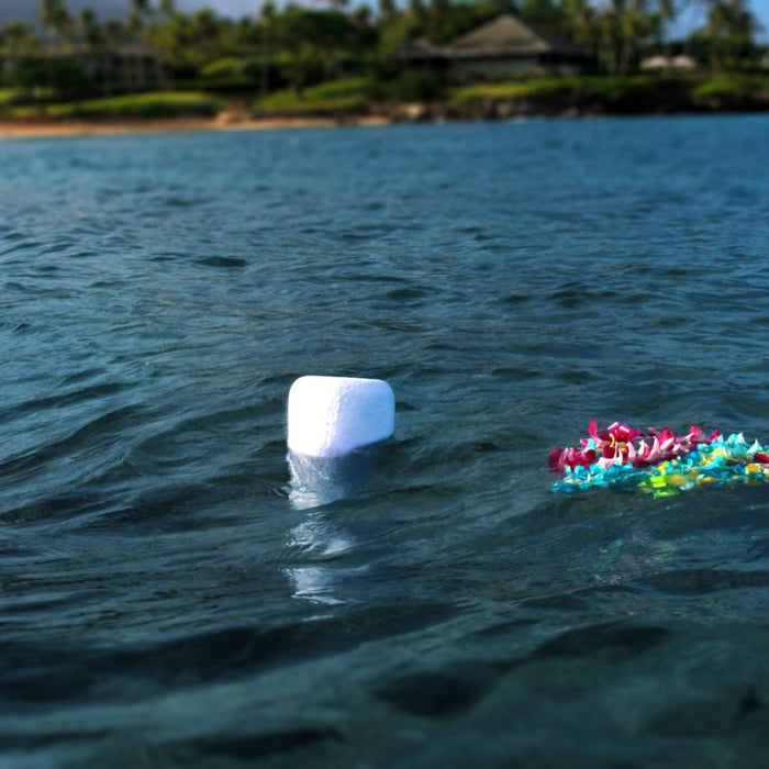 The Symbolism of Water Burials