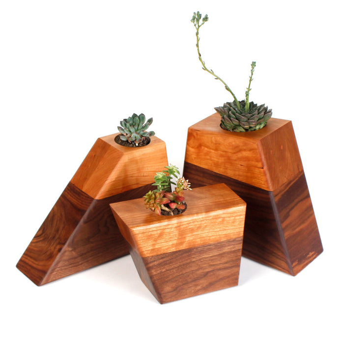 5 Types of Succulents to Plant in an Urn Planter