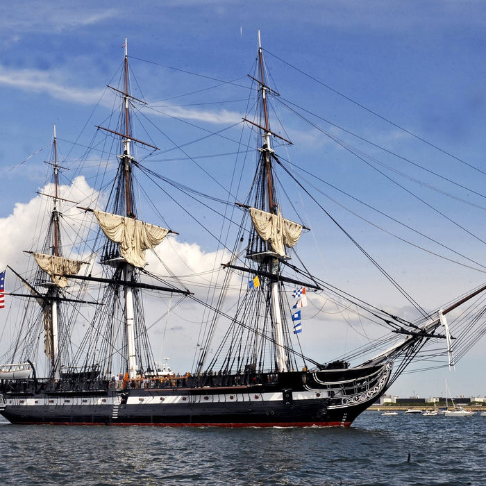 Live Oak - The Foundation of Shipbuilding in America