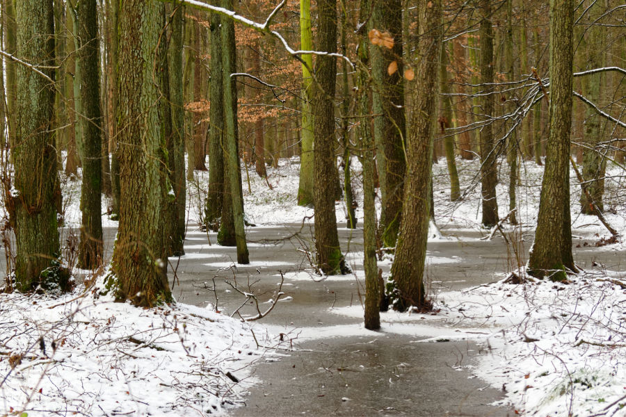 Holding a Green Funeral in the Winter