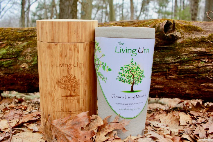 Be a tree after you pass: a new afterlife option — The Living Urn
