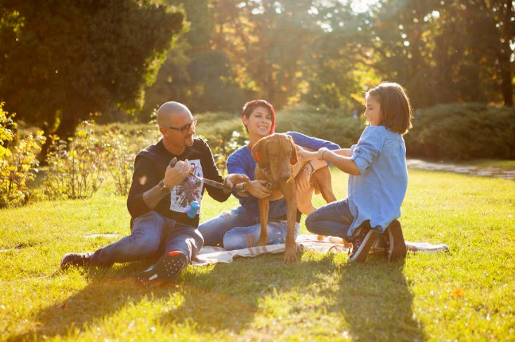 biodegradable pet urns