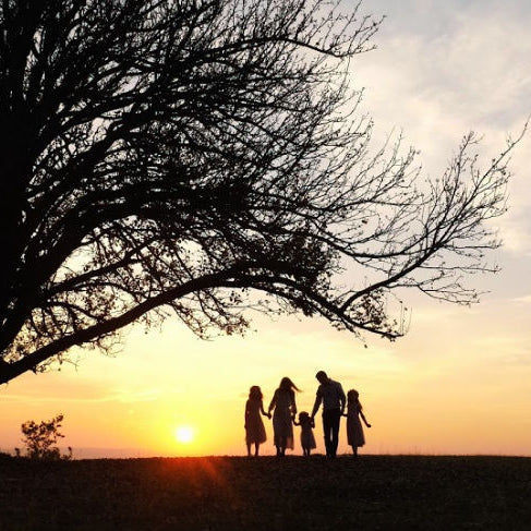 13 Reasons Why Families Choose a Bio Urn Tree Memorial