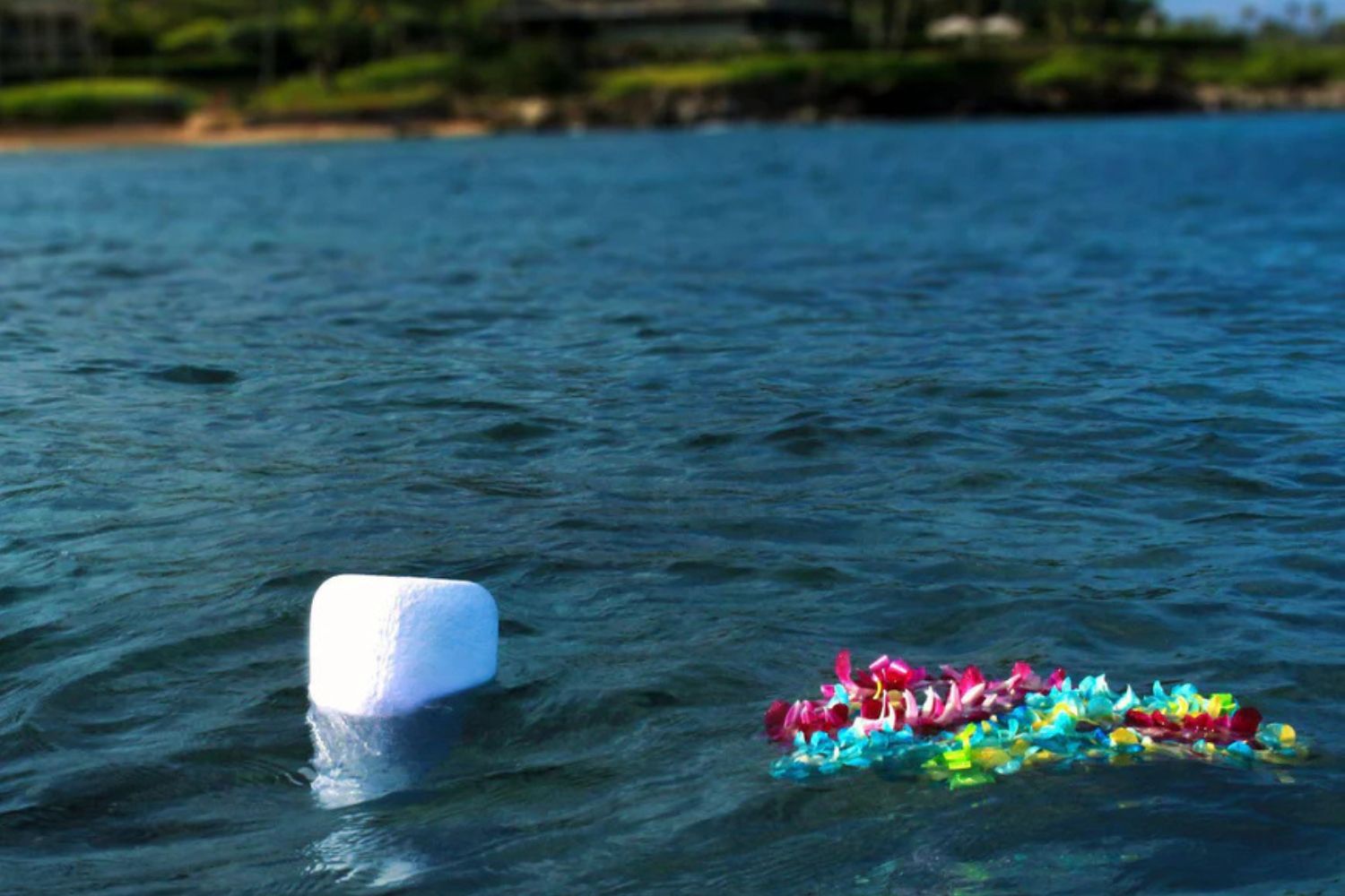 urn floating at sea