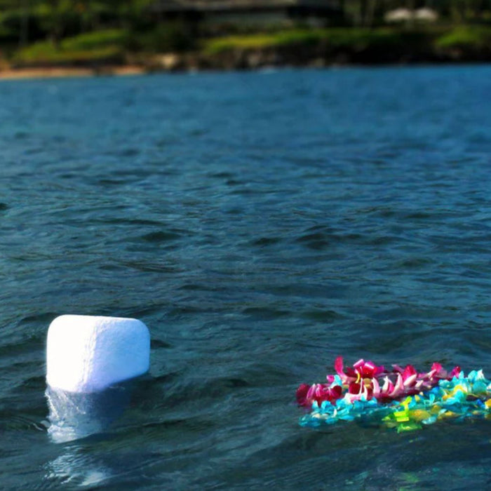 urn floating at sea