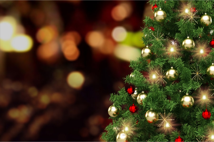 Understanding Christmas Trees The Meaning Behind the Trees — The