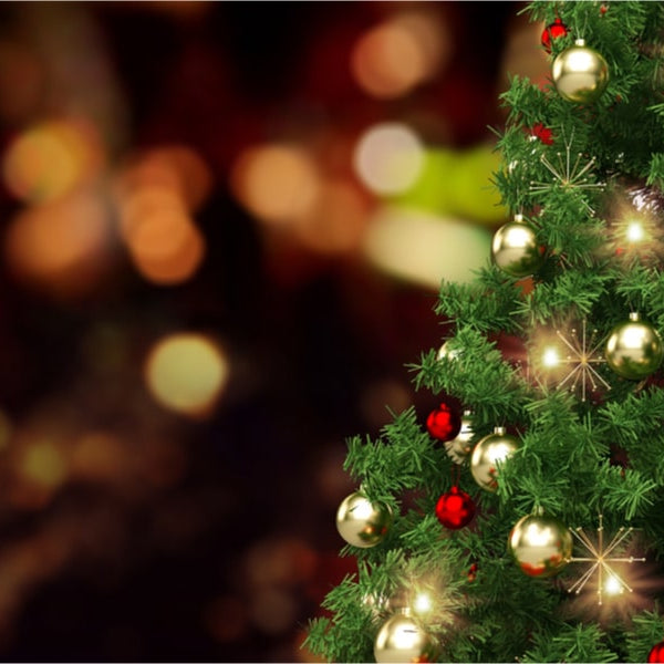 Christmas Trees and their Meanings