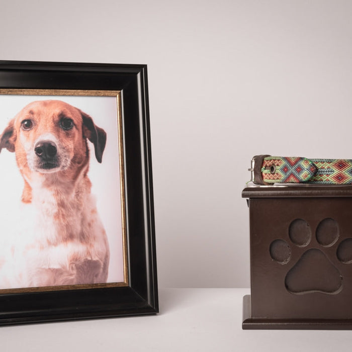 A guide to pet ceremation, Urns, & Memorials 
