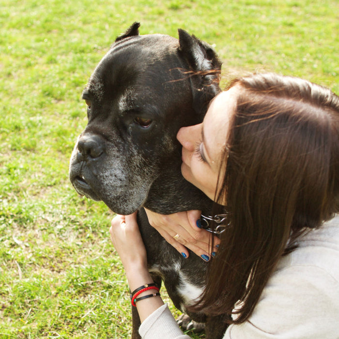 Cremation Keepsakes for Pets