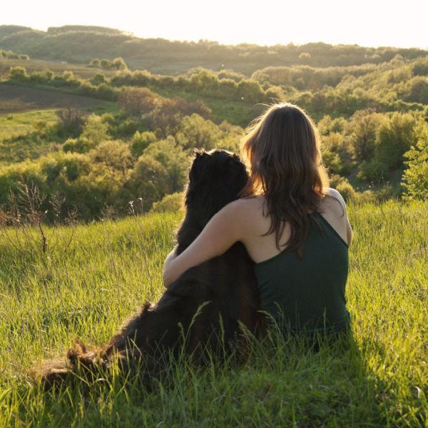 dog urn size