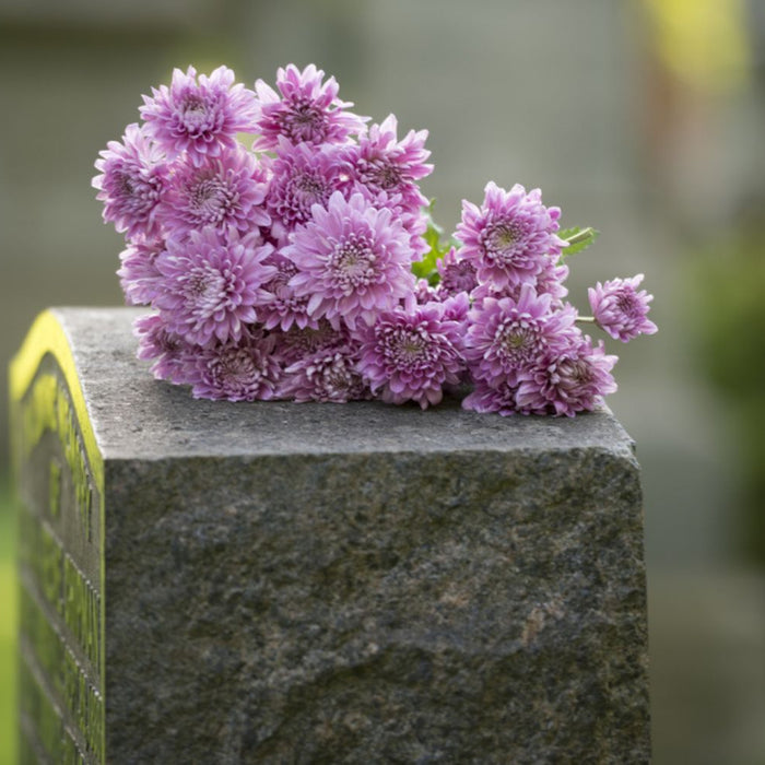 Flowers rest on headstone in cemetery