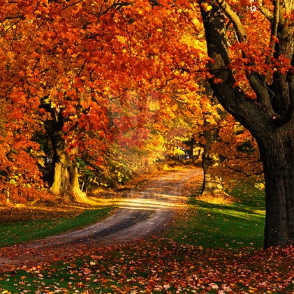 Remembrance & Memorial Poems