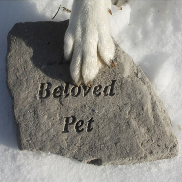 remembering a pet who has died