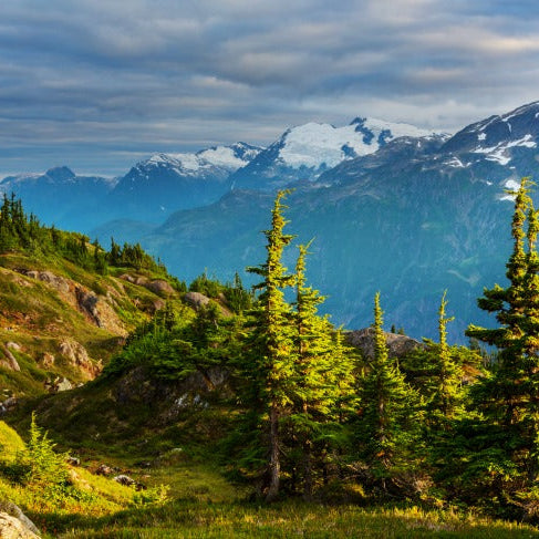 scatter ashes in Alaska