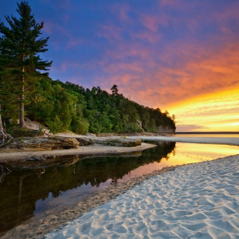 scatter ashes michigan