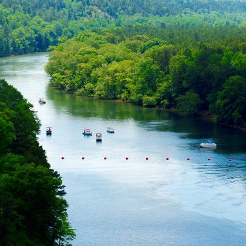 scatter ashes in Arkansas