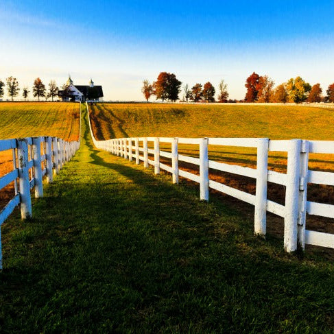 scattering ashes in Kentucky