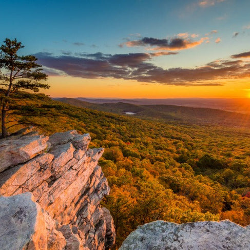 scattering ashes Maryland