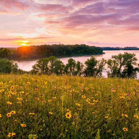 scattering ashes Minnesota