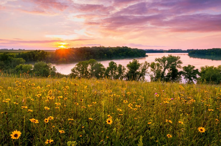 scattering ashes Minnesota
