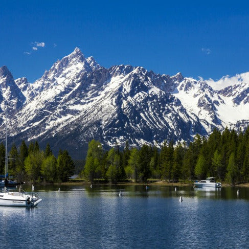 scatter ashes in Wyoming