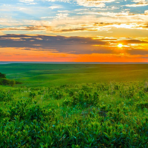 scattering ashes kansas
