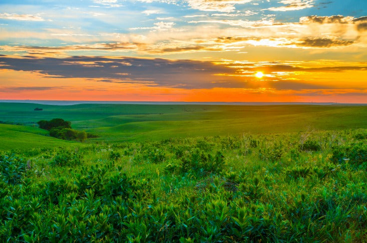 scattering ashes kansas