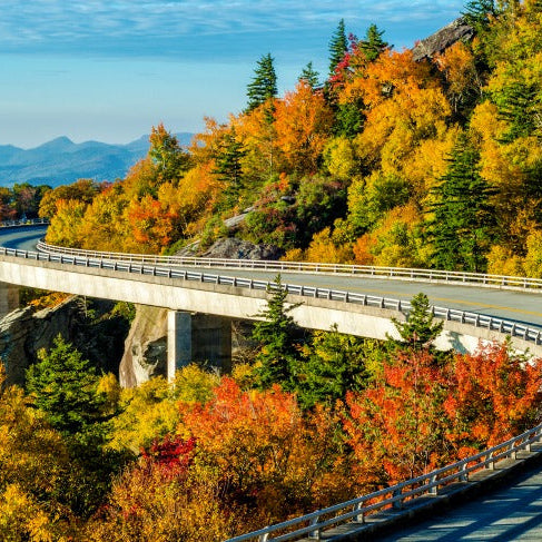 scatter ashes carolina