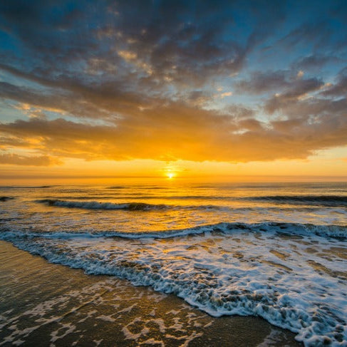 scattering ashes south carolina