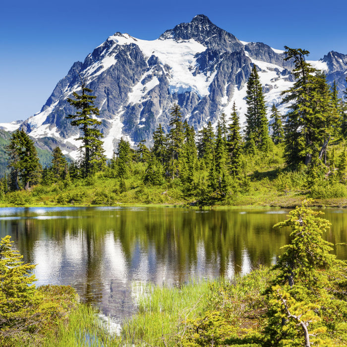 scatter ashes washington