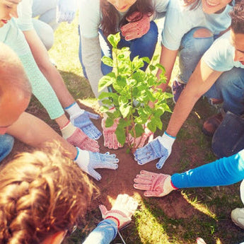 what to do with cremation ashes