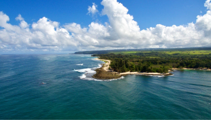 Oahu, Hawaii Ash Scattering