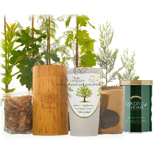 Yes, please include a voucher for a tree of choice
