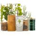 Yes, please include a voucher for a tree of choice
