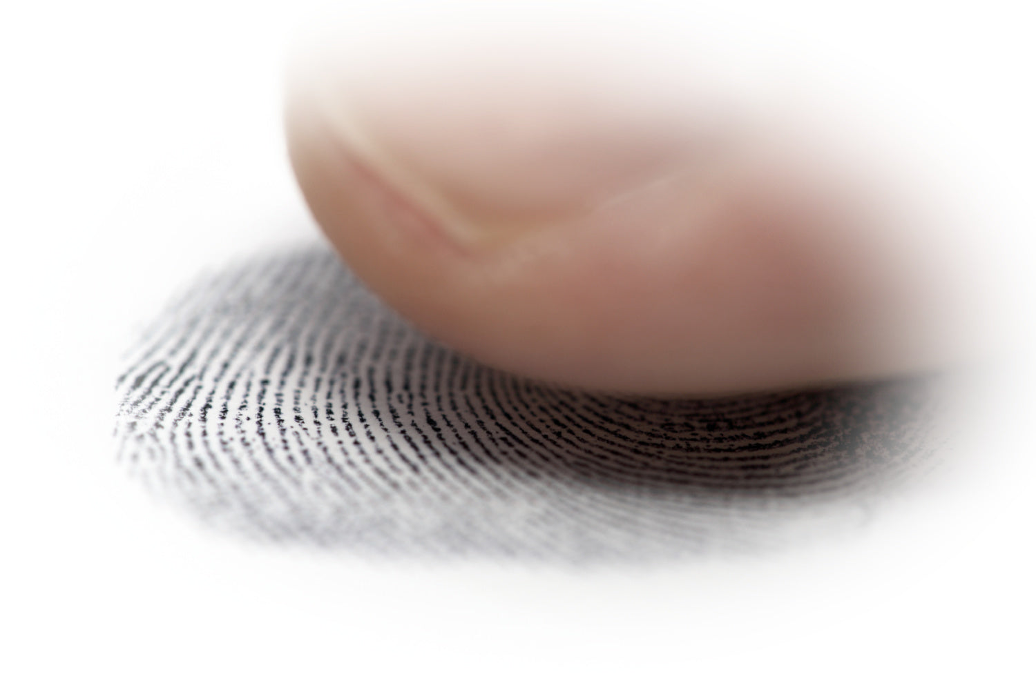 How Do I Get My Loved One's Fingerprint?