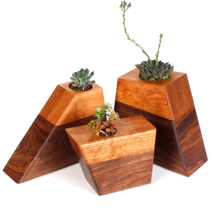 succulent urn The Living Urn Planter for Pets Medium (for Pets up to 90 lbs. or for multiple sets of ashes)