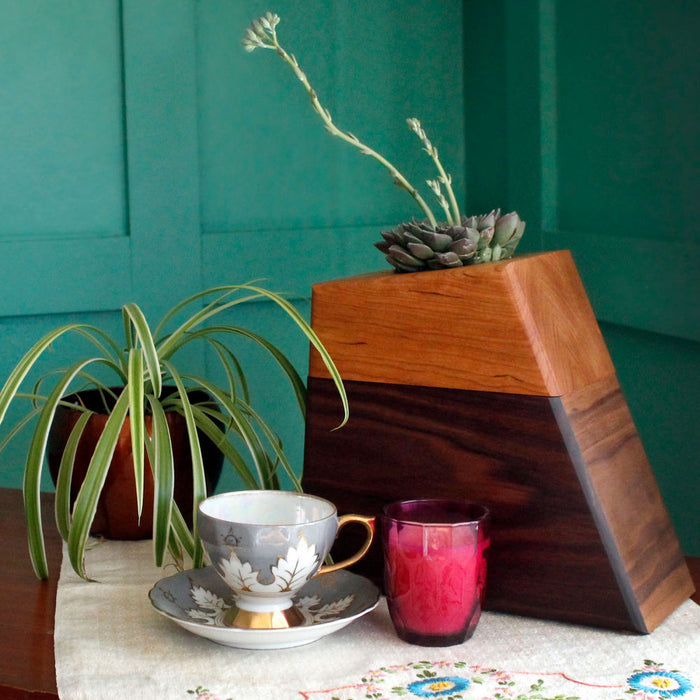 indoor urn planter Plant Urn: Beautiful Indoor Cremation Urn for Ashes — The Living Urn