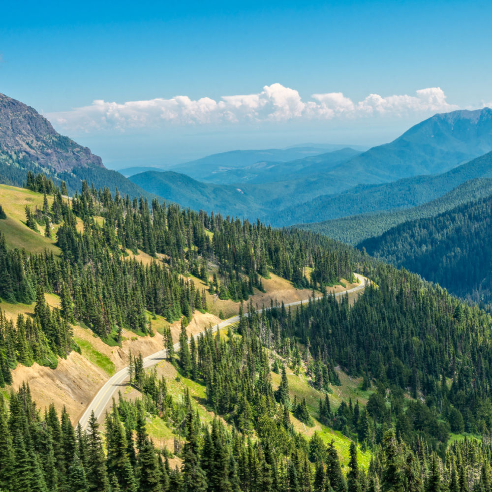 Olympic Mountains Hurricane Ridge Hike Olympic National Park