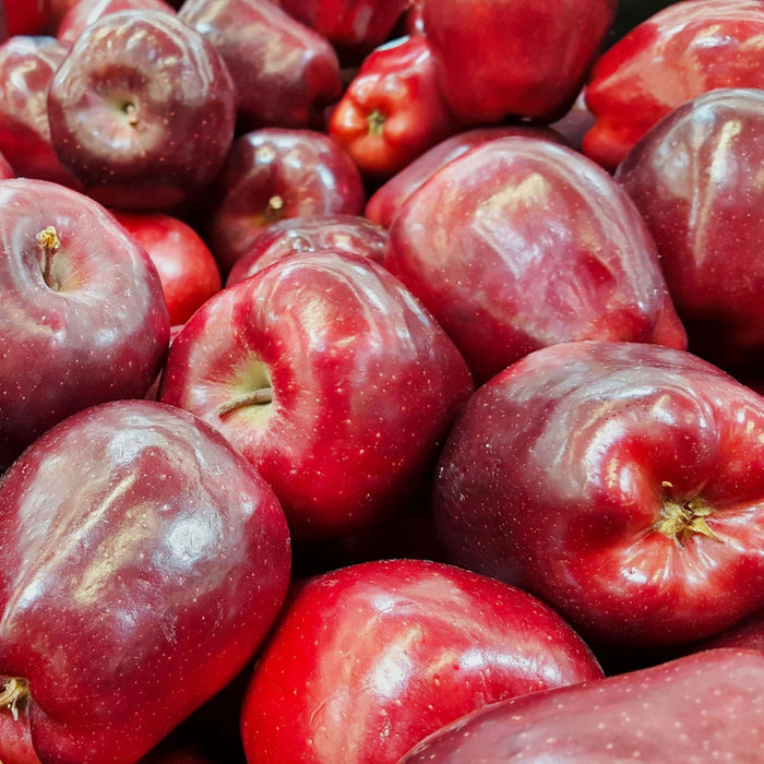 Red Delicious Red Delicious Apple β The Living Urn