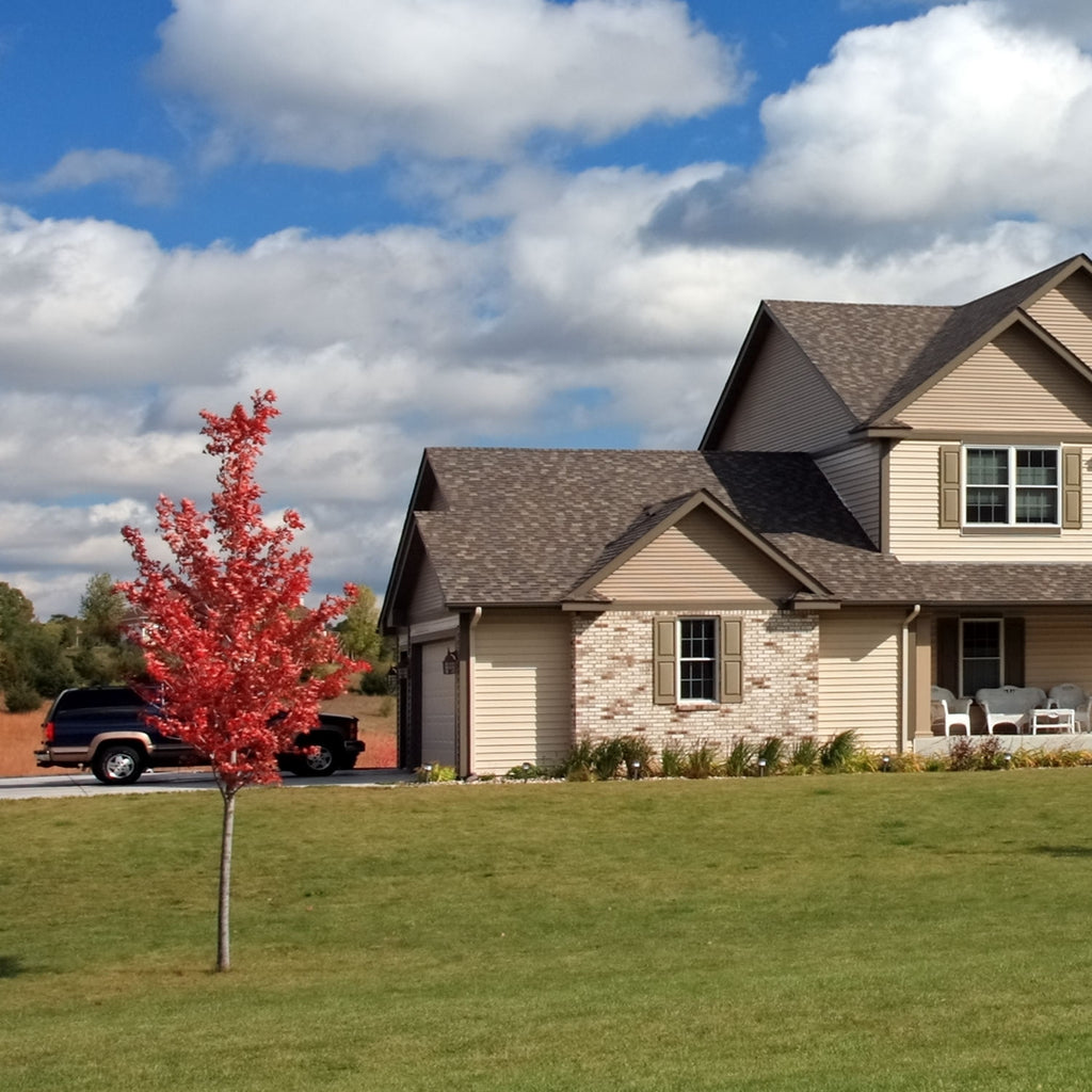 The best Trees to grow in Zone 9 Tree Burial & Memorial Trees for