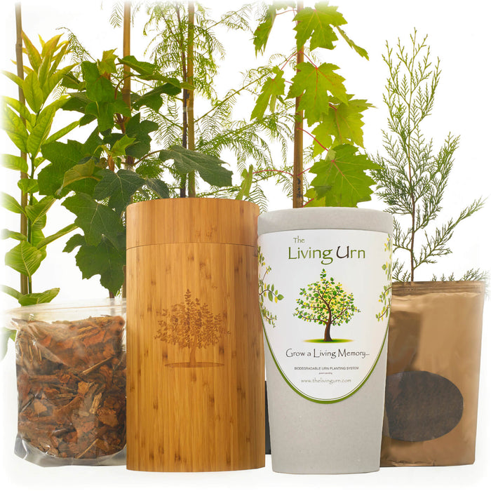 The Living Urn with a Voucher for a Tree