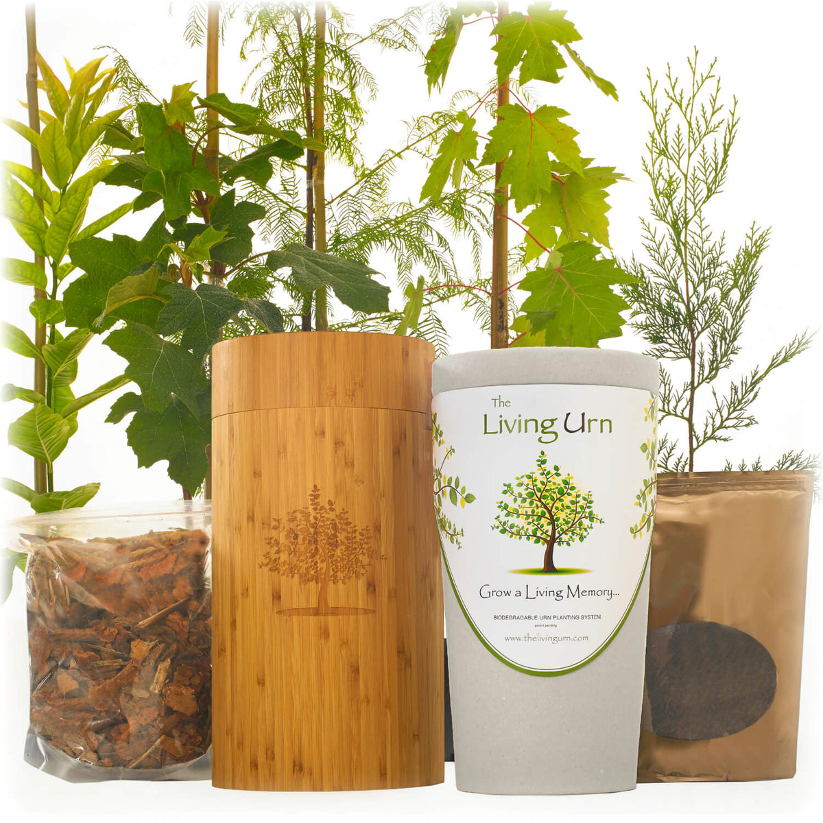 Bio Urn & Tree Planting System