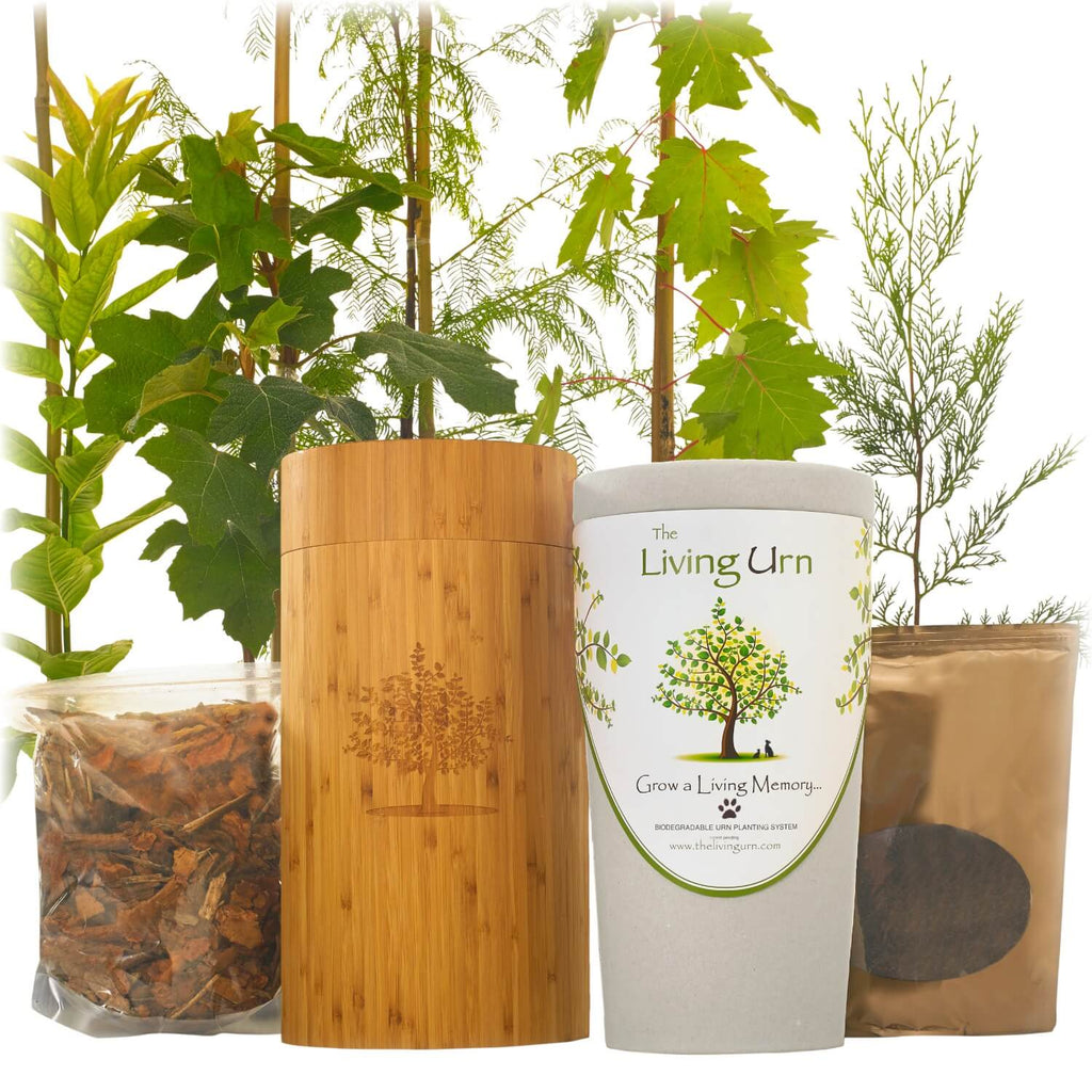 Growing Zone 9 Pet Memorial & Burial Trees for Zone 9 — The Living Urn