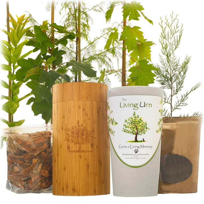 The Living Urn for Pets with a Tree Voucher